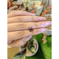 2.69 Ct. Red Garnet from Ceylon (Sri Lanka) Life Style