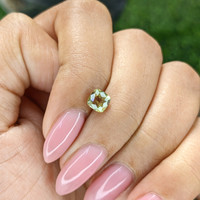1.02 Ct. Alexandrite from Tanzania Life Style