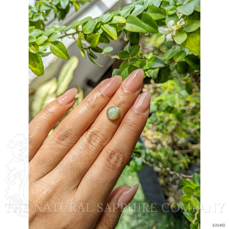 3.03 Ct. Green Cabochon Chrysoberyl from Tanzania