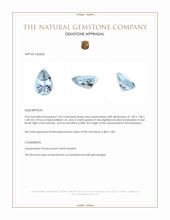 1.02 Ct. Blue Aquamarine from Mozambique Appraisal