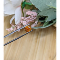 1.79 Ct. Orange Cabochon Hessonite Garnet from Madagascar Life Style