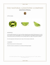 3.26 Ct. Yellowish Green Peridot from Pakistan Appraisal