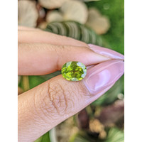 3.11 Ct. Yellowish Green Peridot from Pakistan Life Style