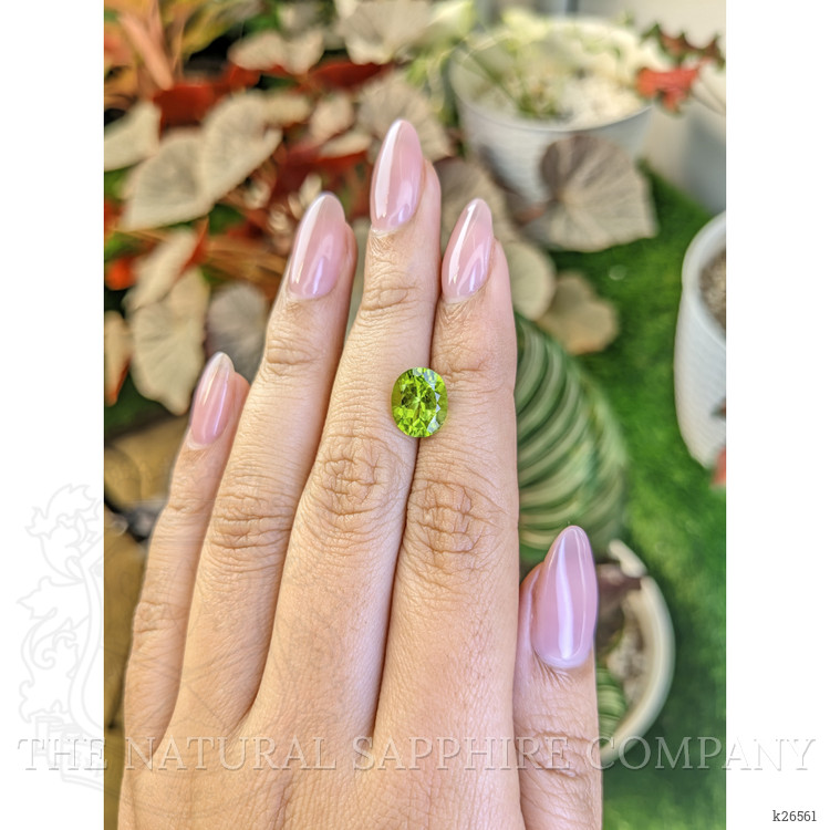 3.12 Ct. Yellowish Green Peridot from Pakistan