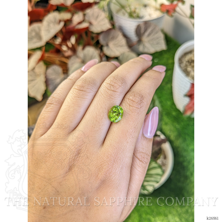 3.12 Ct. Yellowish Green Peridot from Pakistan