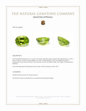 3.12 Ct. Yellowish Green Peridot from Pakistan Appraisal