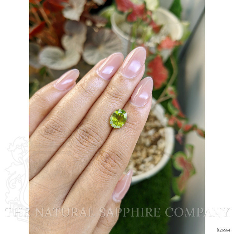 2.73 Ct. Yellowish Green Peridot from Pakistan