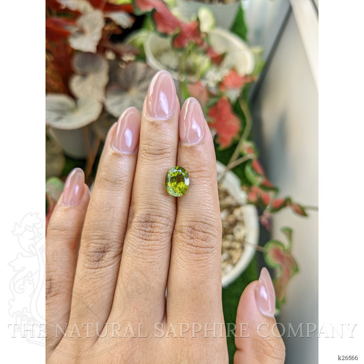 3.40 Ct. Yellowish Green Peridot from Pakistan