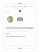 12.71 Ct. Brown Cabochon Rutilated Quartz from Ceylon (Sri Lanka) Appraisal