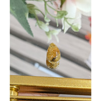 6.93 Ct. Brown Cabochon Rutilated Quartz from Ceylon (Sri Lanka) Life Style