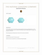 7.39 Ct. Greenish Blue Turquoise from Persia(Iran) Appraisal