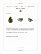 1.09 Ct. Brownish Green Zircon from Ceylon (Sri Lanka) Appraisal