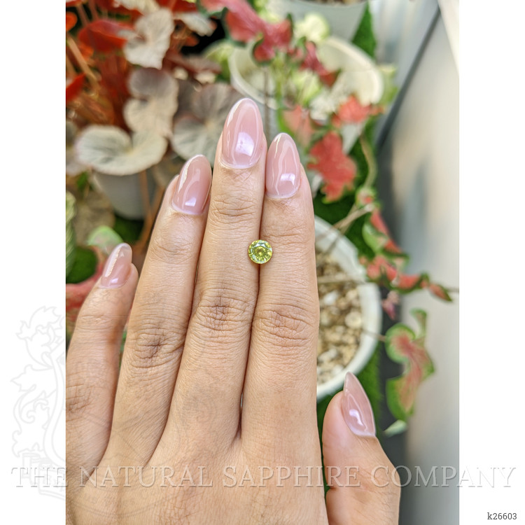 1.08 Ct. Greenish Yellow Zircon from Ceylon (Sri Lanka)