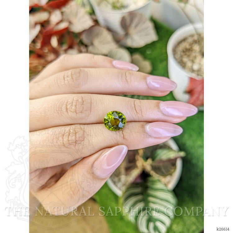 4.22 Ct. Yellowish Green Peridot from Pakistan