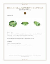 15.13 Ct. Green Prasiolite from Brazil Appraisal