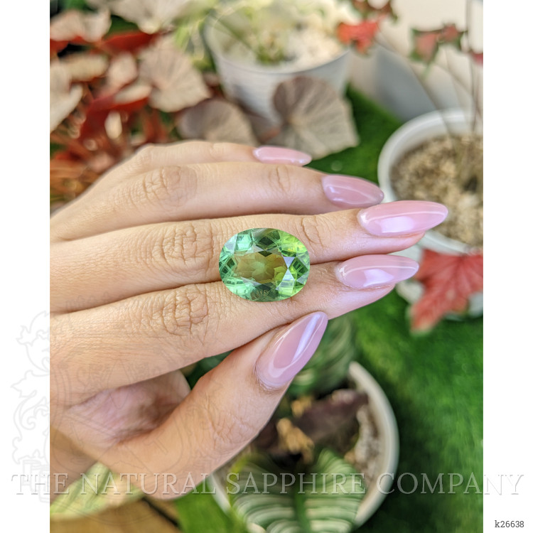 15.13 Ct. Green Prasiolite from Brazil