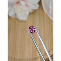 1.19 Ct. Pinkish Purple Garnet from Ceylon (Sri Lanka) Life Style