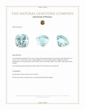 9.30 Ct. Greenish Blue Aquamarine from Brazil Appraisal