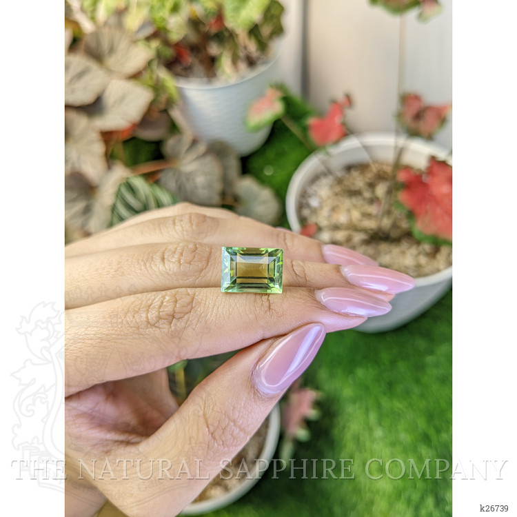 10.63 Ct. Yellowish Green Prasiolite from Brazil