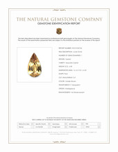 6.58 Ct. Golden Brown Hessonite Garnet from Madagascar Scan Report