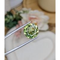 7.49 Ct. Yellowish Green Prasiolite from Madagascar Life Style