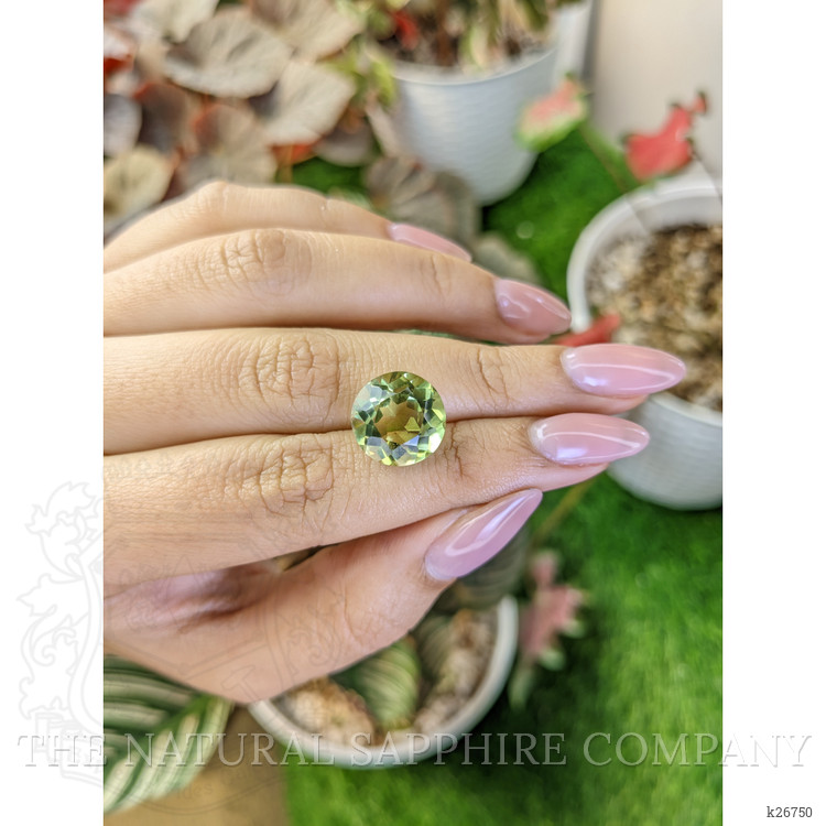 7.49 Ct. Yellowish Green Prasiolite from Madagascar