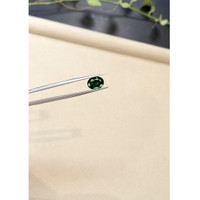 2.71 Ct. Tsavorite Garnet from Tanzania Life Style