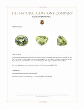 4.00 Ct. Green Tourmaline from Brazil Appraisal