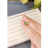 4.00 Ct. Green Tourmaline from Brazil Life Style