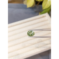 4.00 Ct. Green Tourmaline from Brazil Life Style