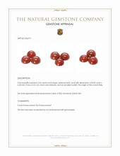 5.24 Ct. Oxblood (Red) Coral from Italy Appraisal