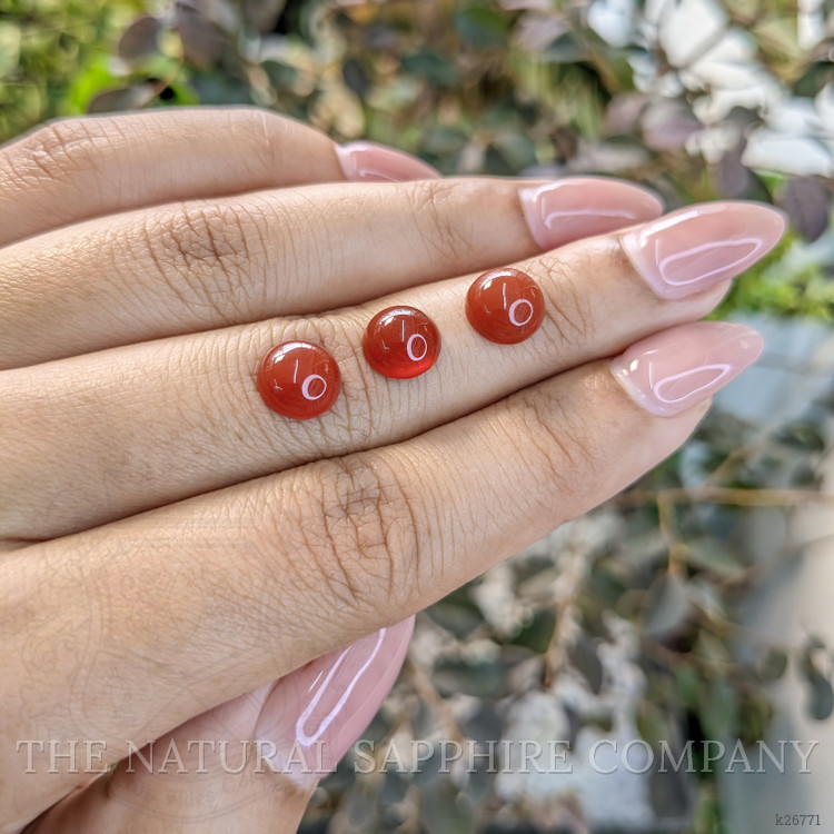 5.24 Ct. Oxblood (Red) Coral from Italy