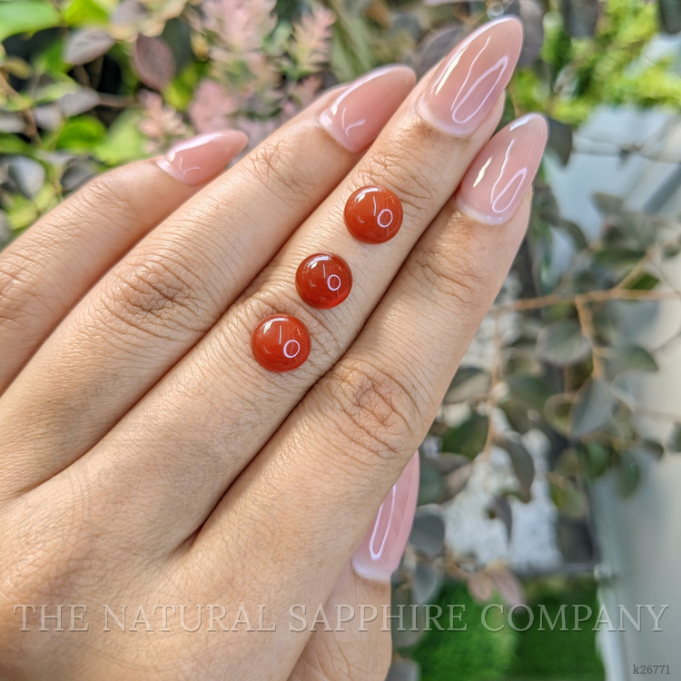 5.24 Ct. Oxblood (Red) Coral from Italy