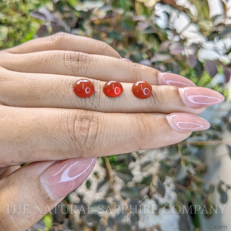 5.24 Ct. Oxblood (Red) Coral from Italy