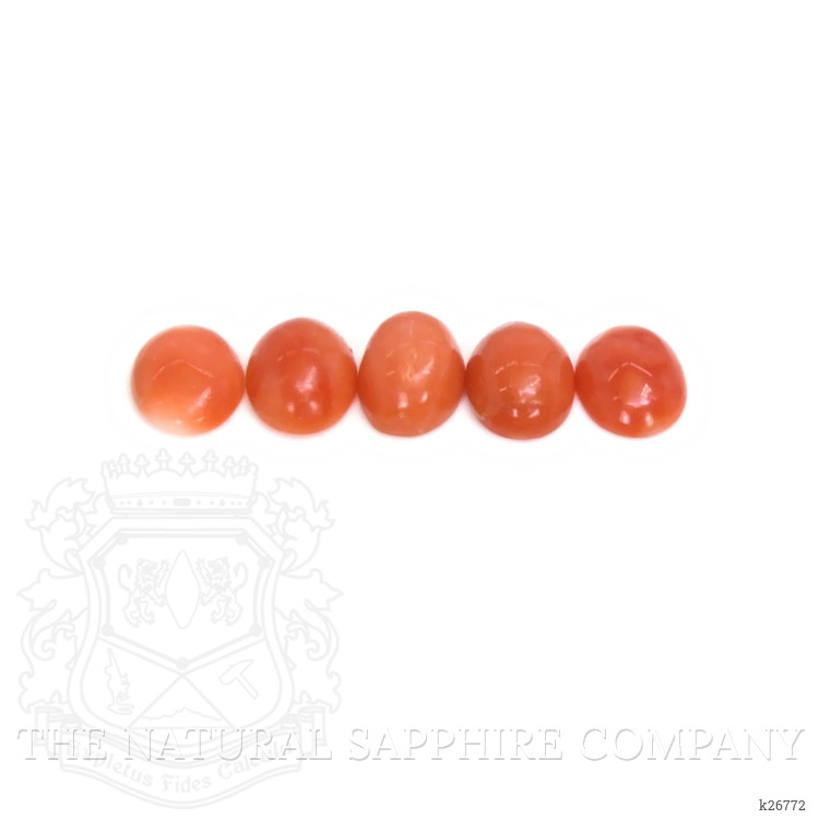 7.35 Ct. Oxblood (Red) Coral from Italy