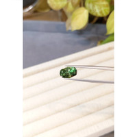 3.86 Ct. Green Tourmaline from Mozambique Life Style