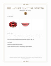 0.96 Ct. Red Garnet from Ceylon (Sri Lanka) Appraisal