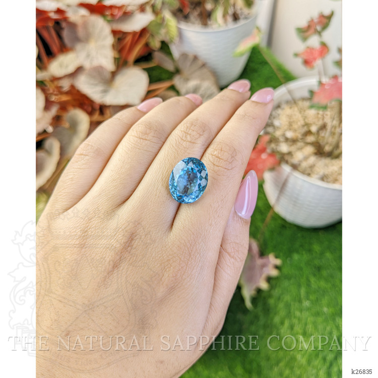 15.75 Ct. Swiss Blue Topaz from Brazil