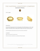 9.42 Ct. Yellow Citrine from Ceylon (Sri Lanka) Appraisal