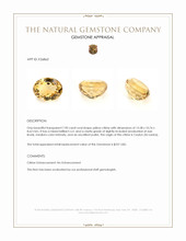 7.90 Ct. Yellow Citrine from Ceylon (Sri Lanka) Appraisal