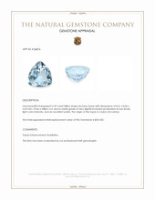 2.49 Ct. Sky Blue Topaz from Ceylon (Sri Lanka) Appraisal