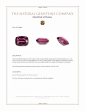 4.78 Ct. Pinkish Purple Garnet from Tanzania Appraisal