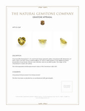 Jewelry Appraisal