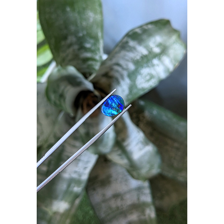 3.82 Ct. Multi Color Black Opal (Dark Opal) from Australia