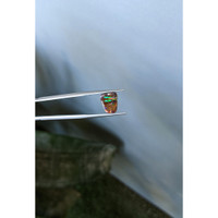 2.91 Ct. Multi Color Black Opal (Dark Opal) from Australia Life Style