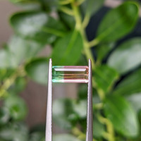 1.12 Ct. Watermelon Tourmaline from Brazil Life Style