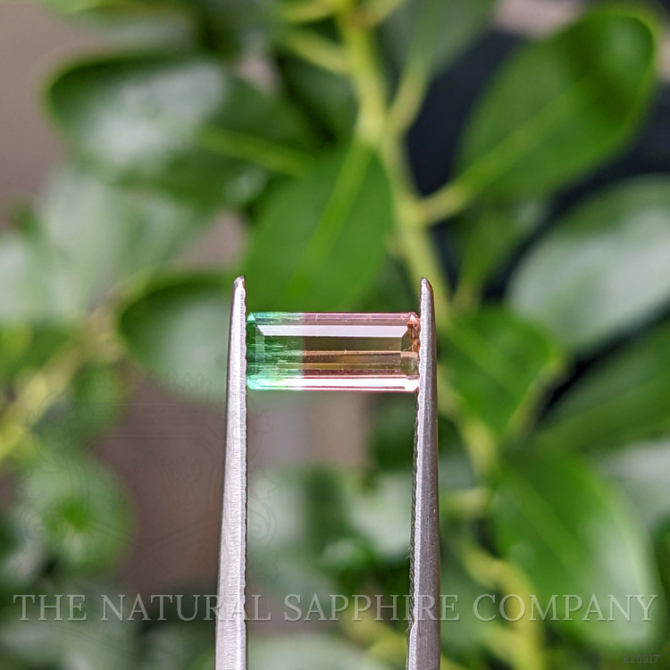 1.12 Ct. Watermelon Tourmaline from Brazil