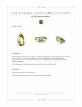 41.00 Ct. Brownish Green Citrine from Ceylon (Sri Lanka) Appraisal