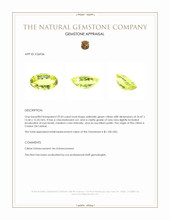 29.03 Ct. Yellowish Green Citrine from Ceylon (Sri Lanka) Appraisal
