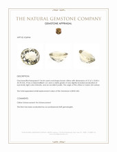 154.44 Ct. Brown Citrine from Ceylon (Sri Lanka) Appraisal